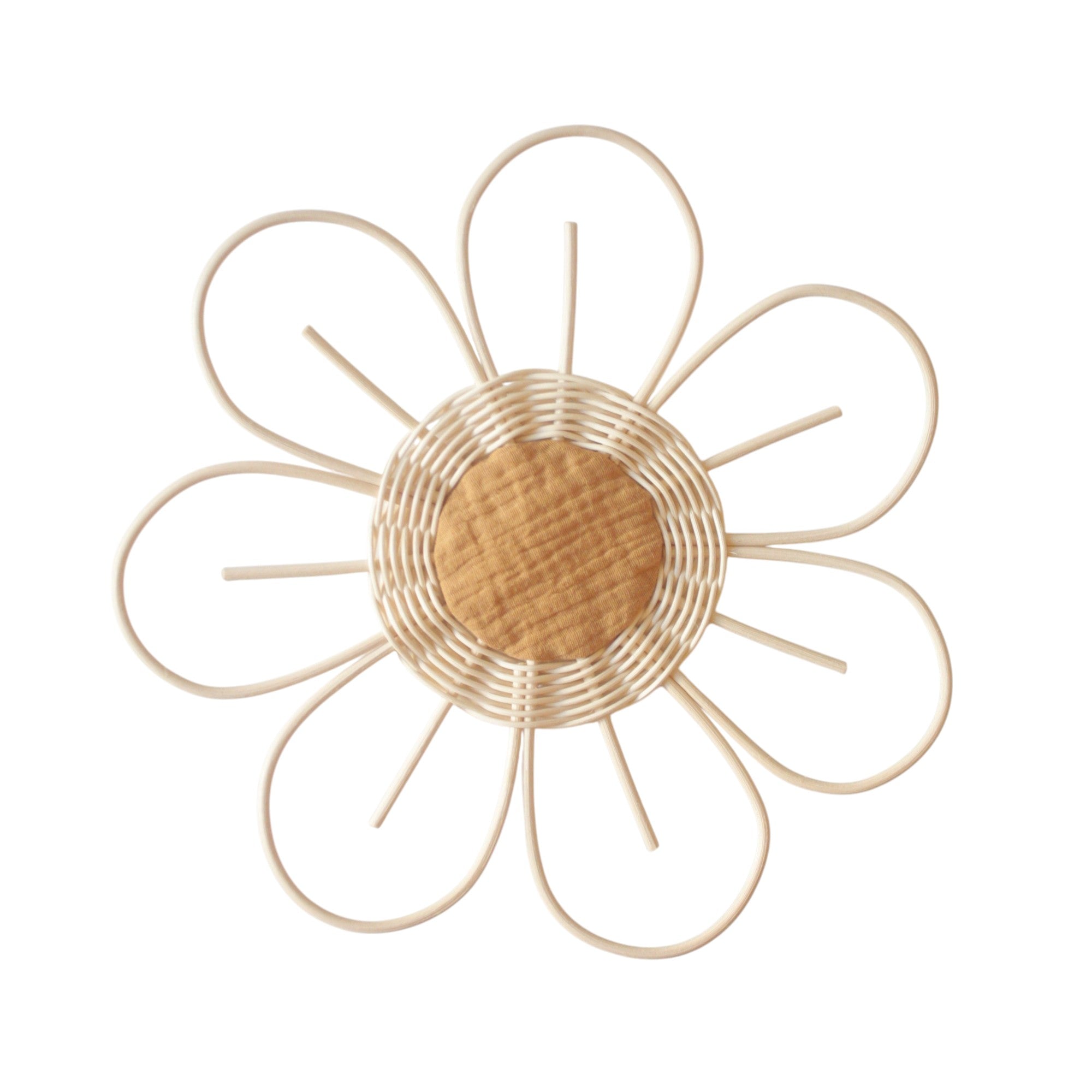 Large flower Anemone