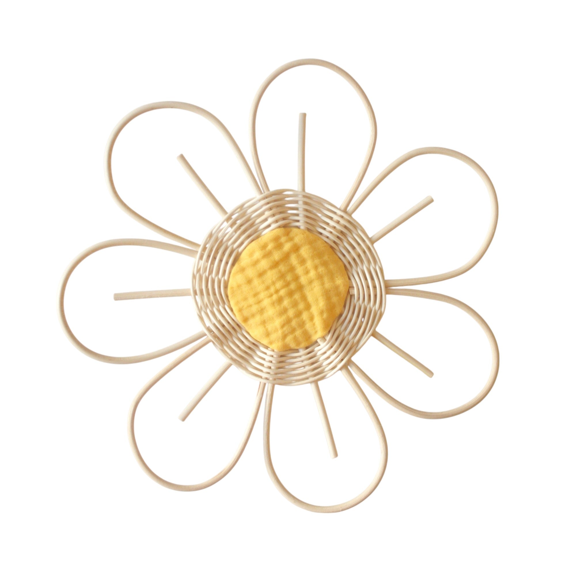 Large flower Anemone