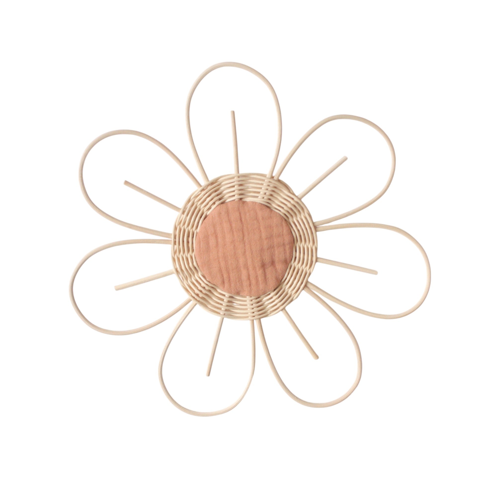Large flower Anemone