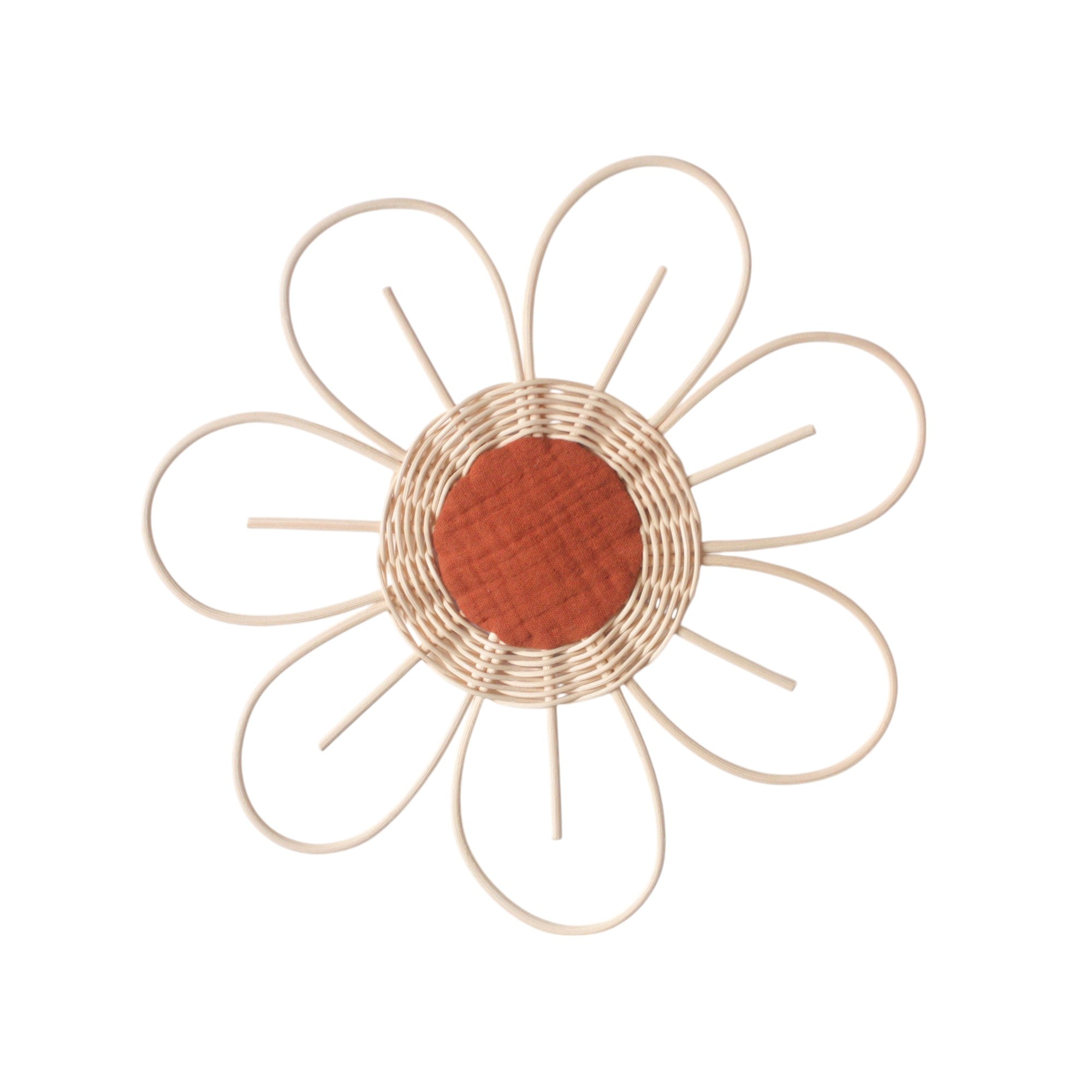 Large flower Anemone