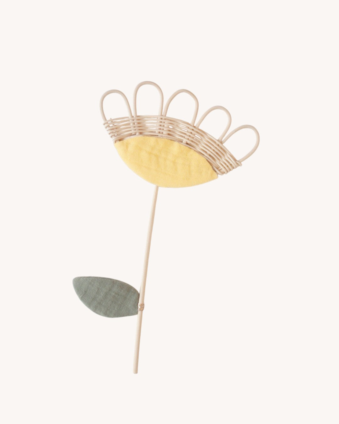petite fleur Colchique