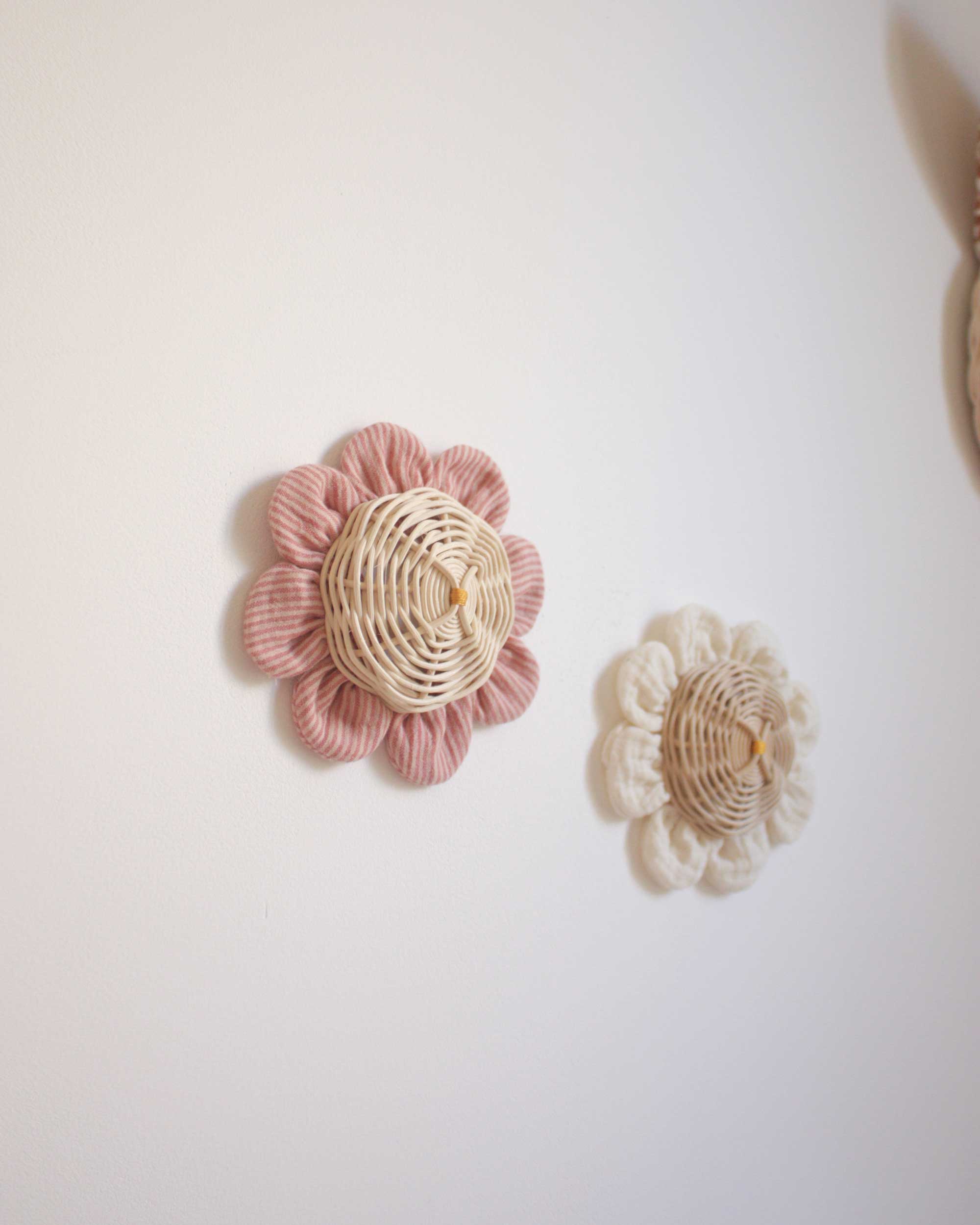 petite fleur Capucine