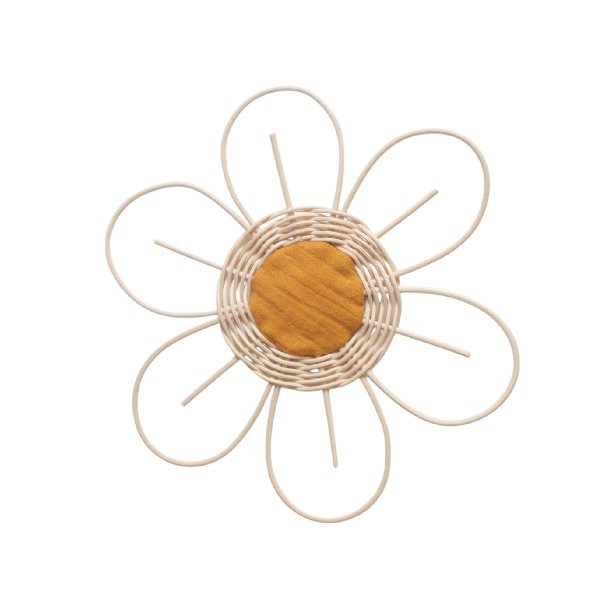 small Anemone flower