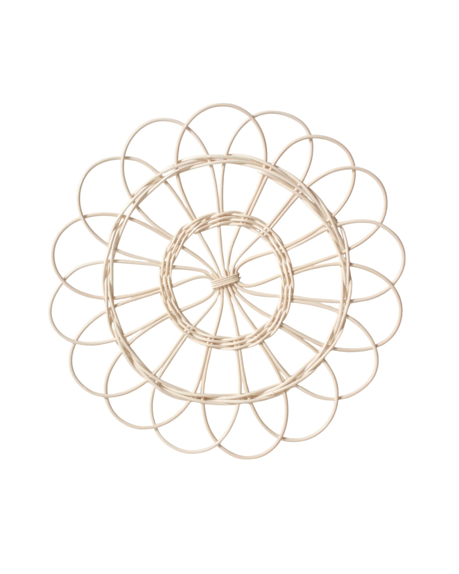 large rattan daisy