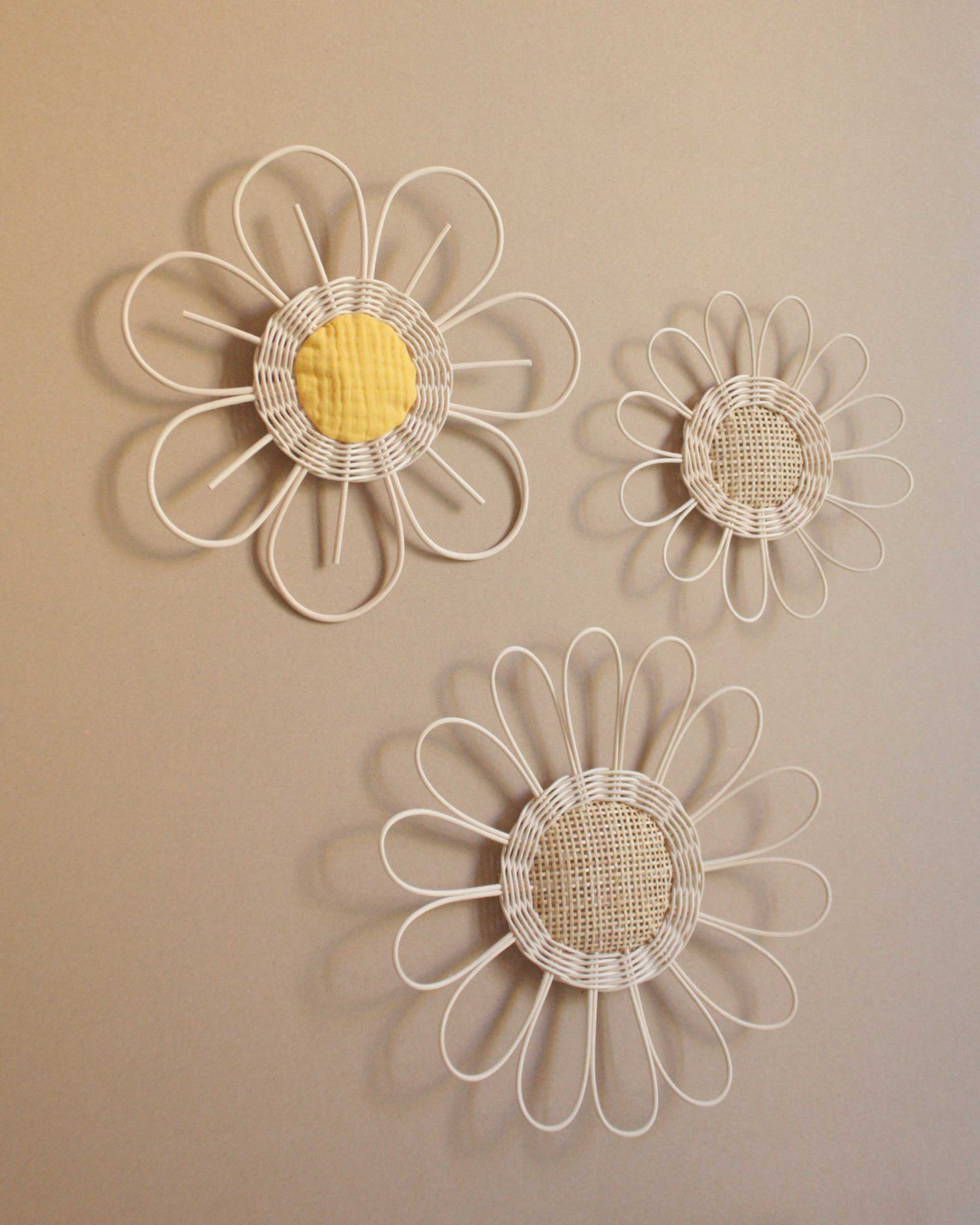 Rattan and cane daisy