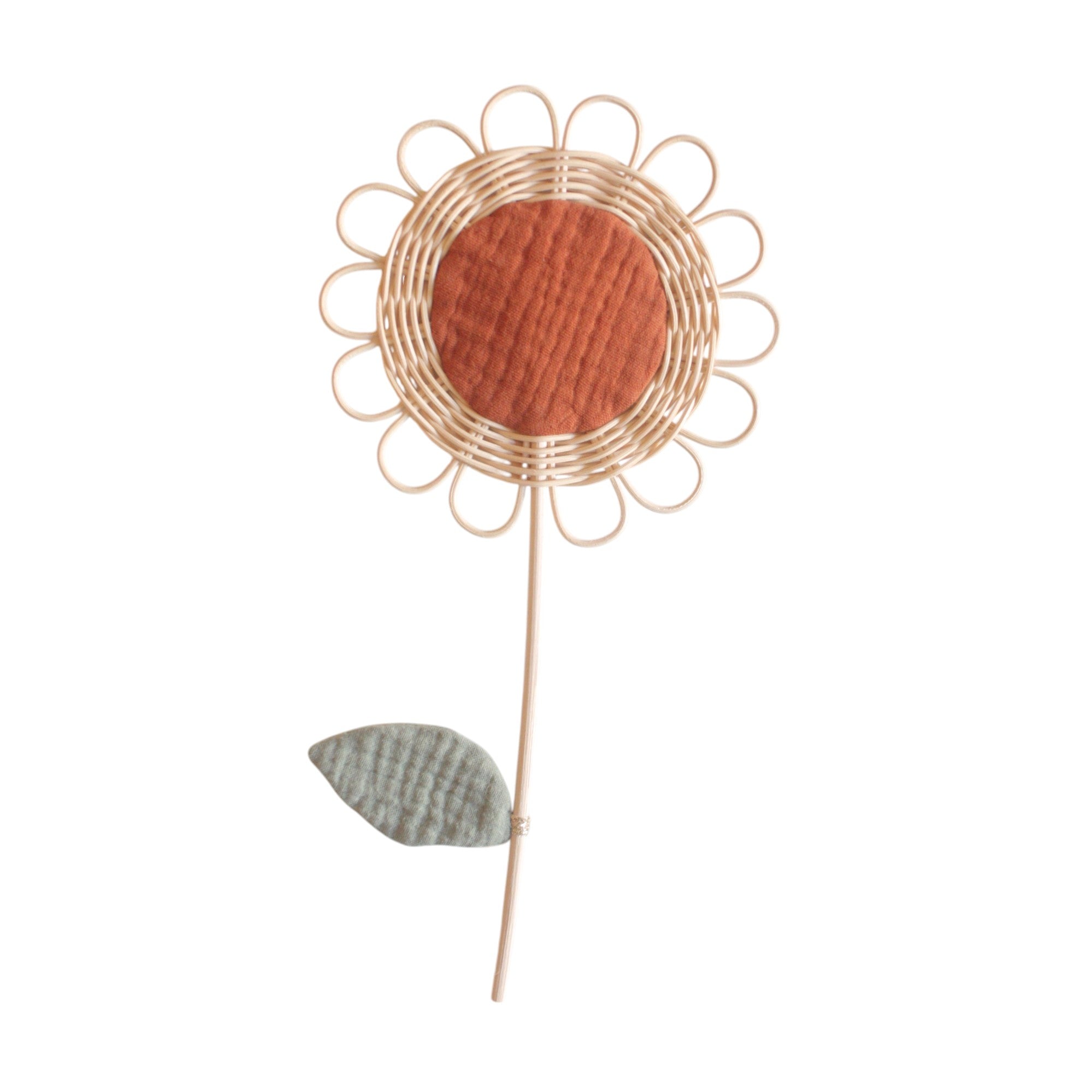 Large Daisy with leaf