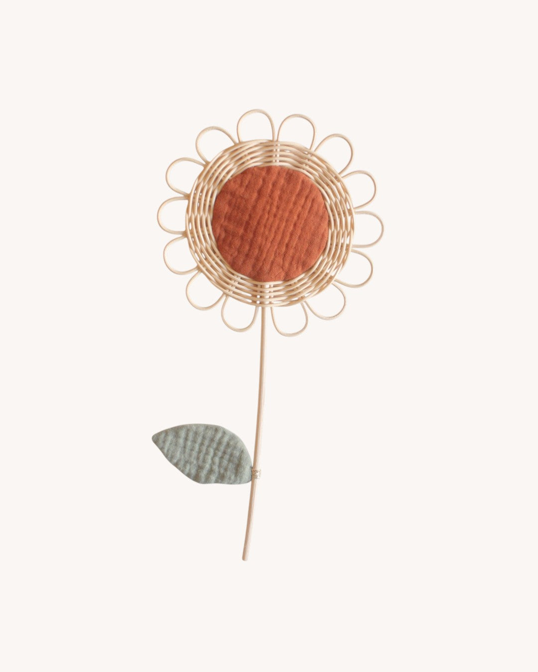 brown daisy