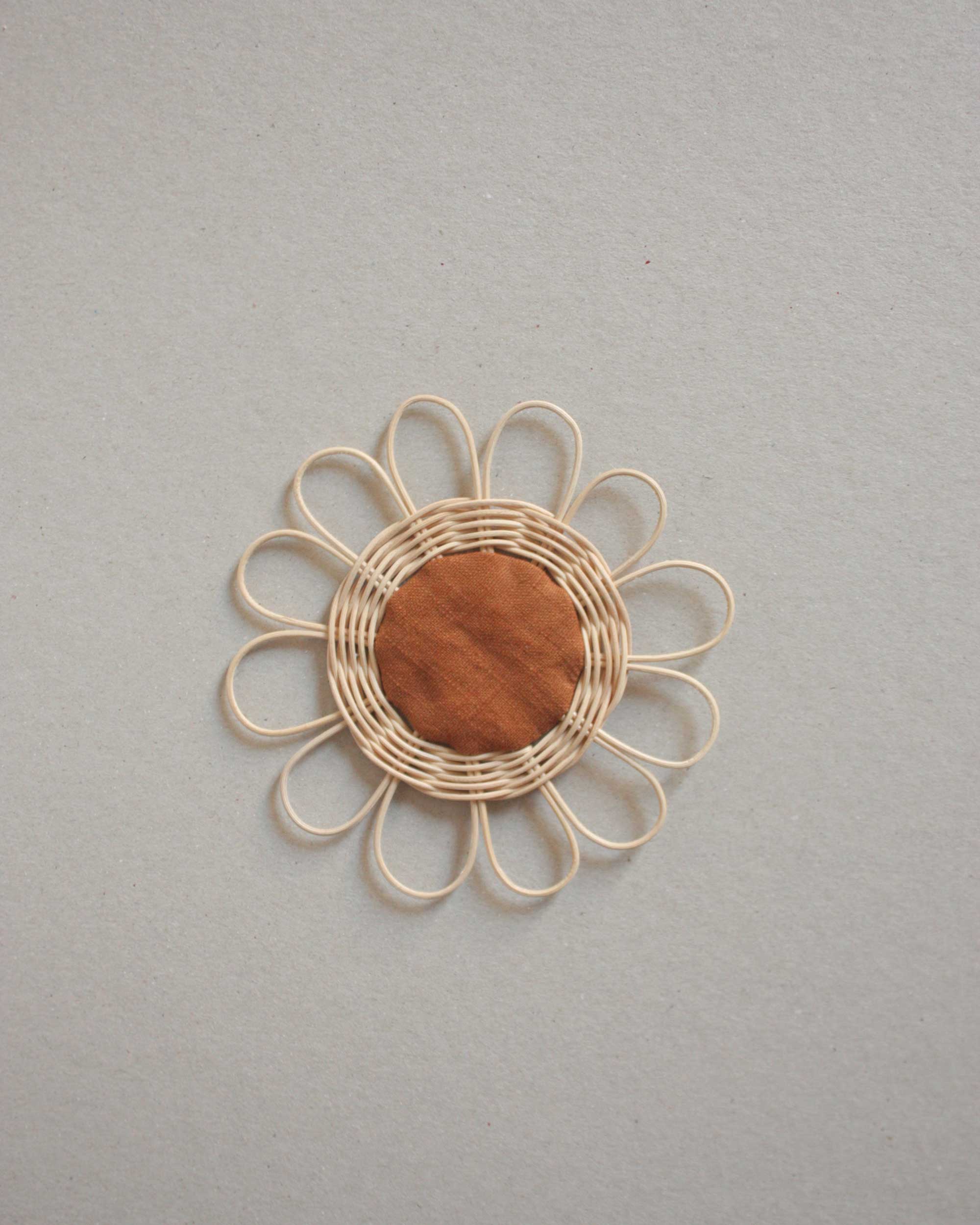 brown daisy