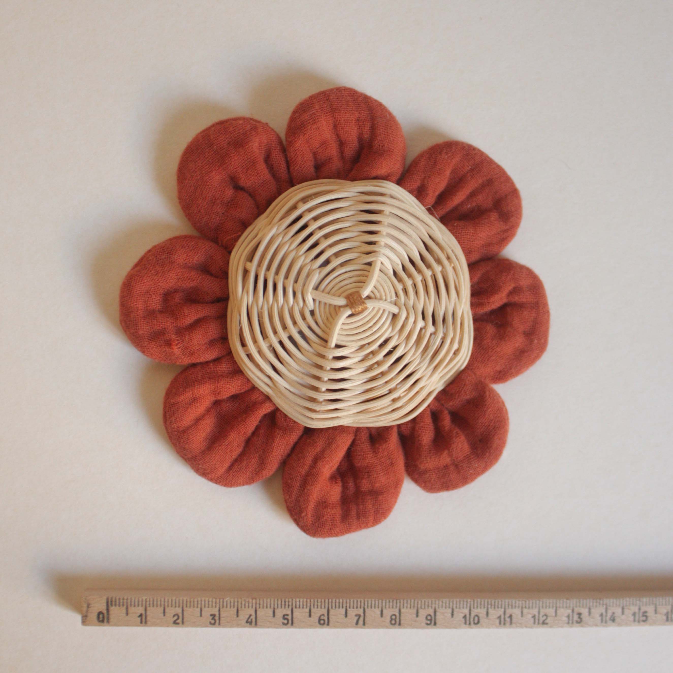 brick nasturtium flower