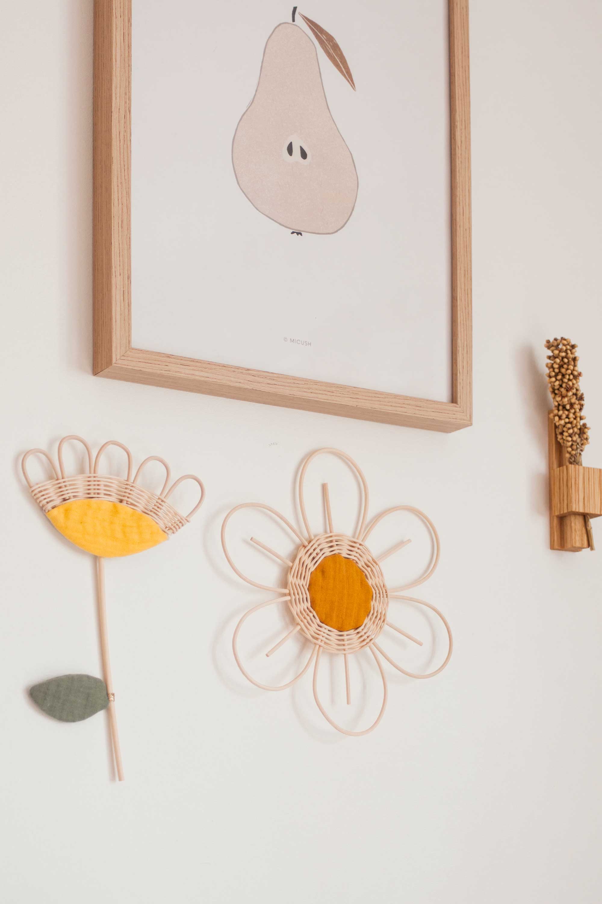petite fleur Anémone