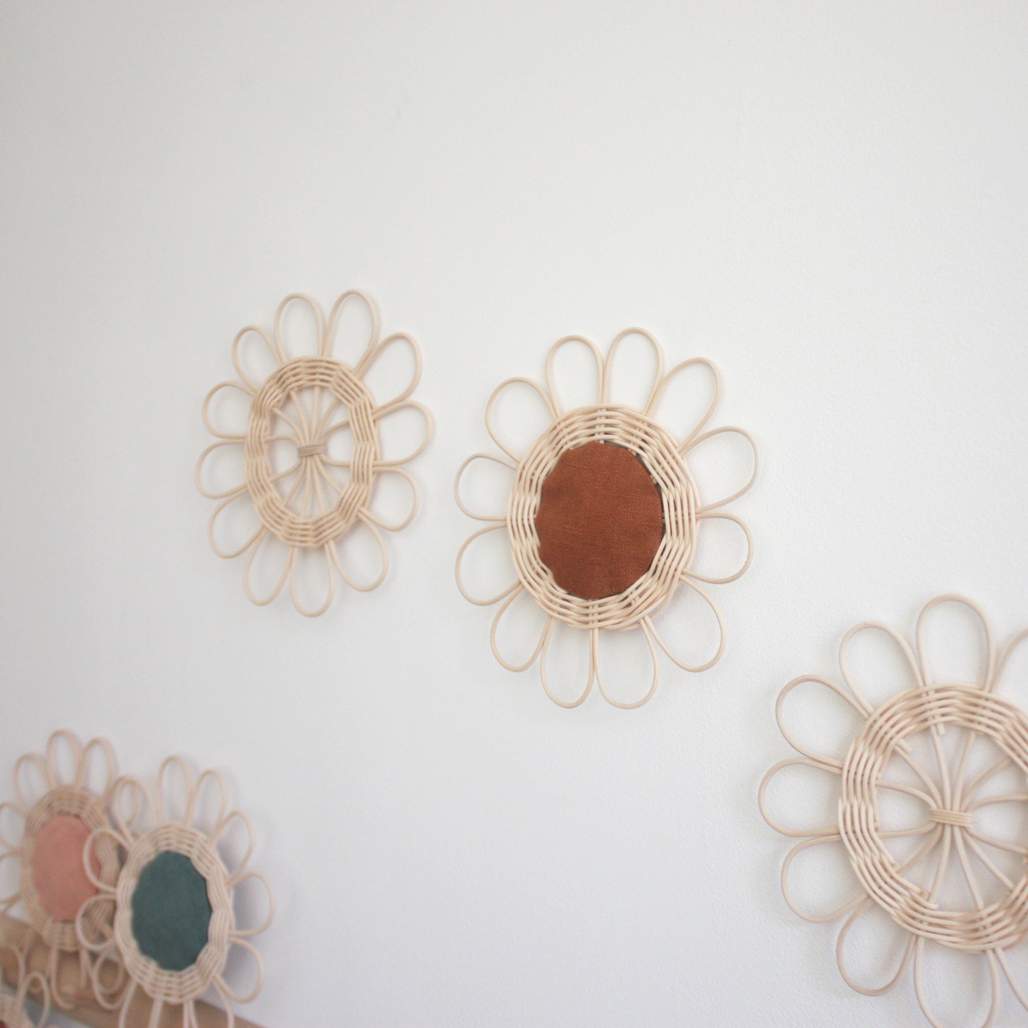 Rattan daisy