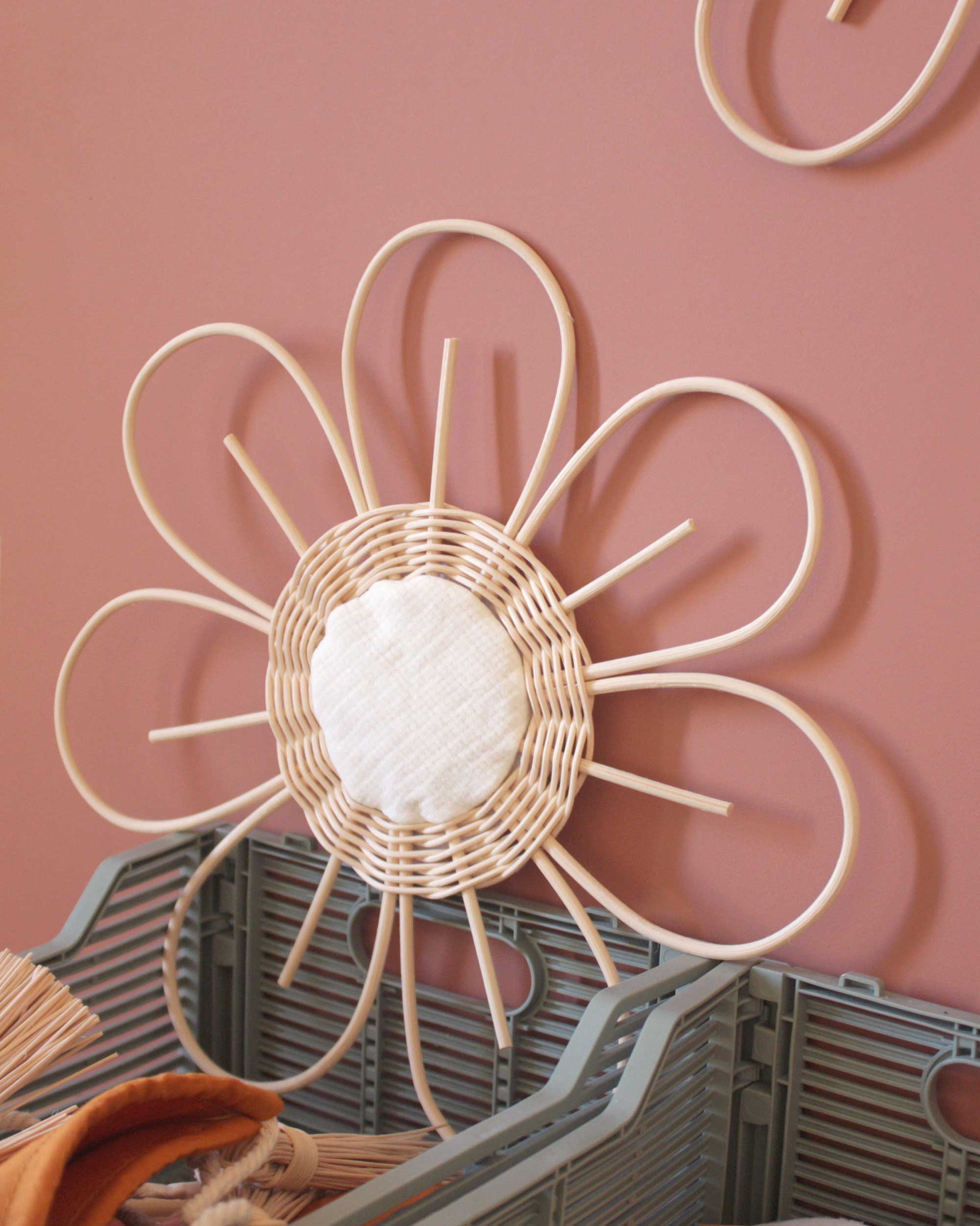 Large flower Anemone