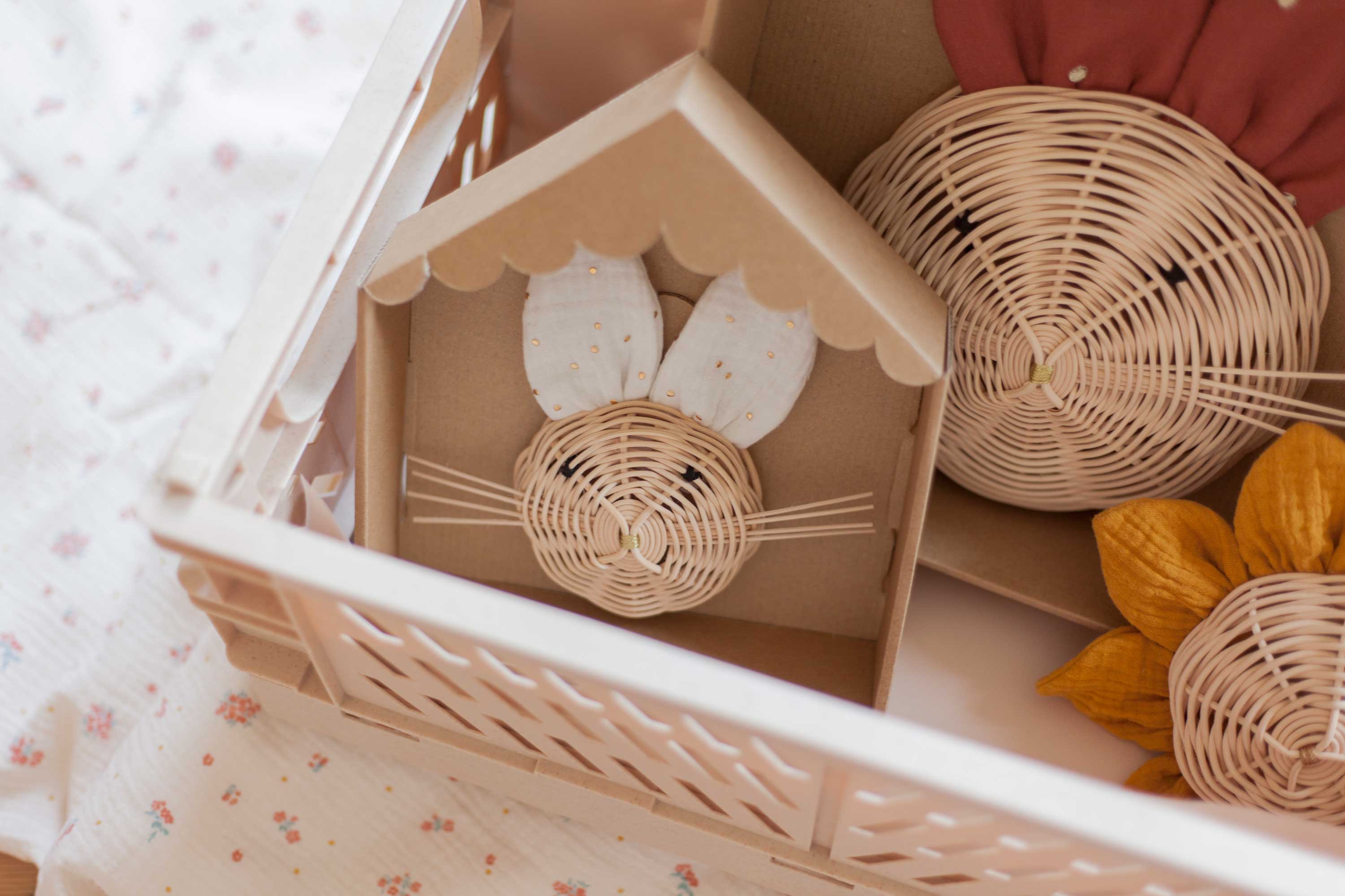 trophée Lapin écru pois dorés