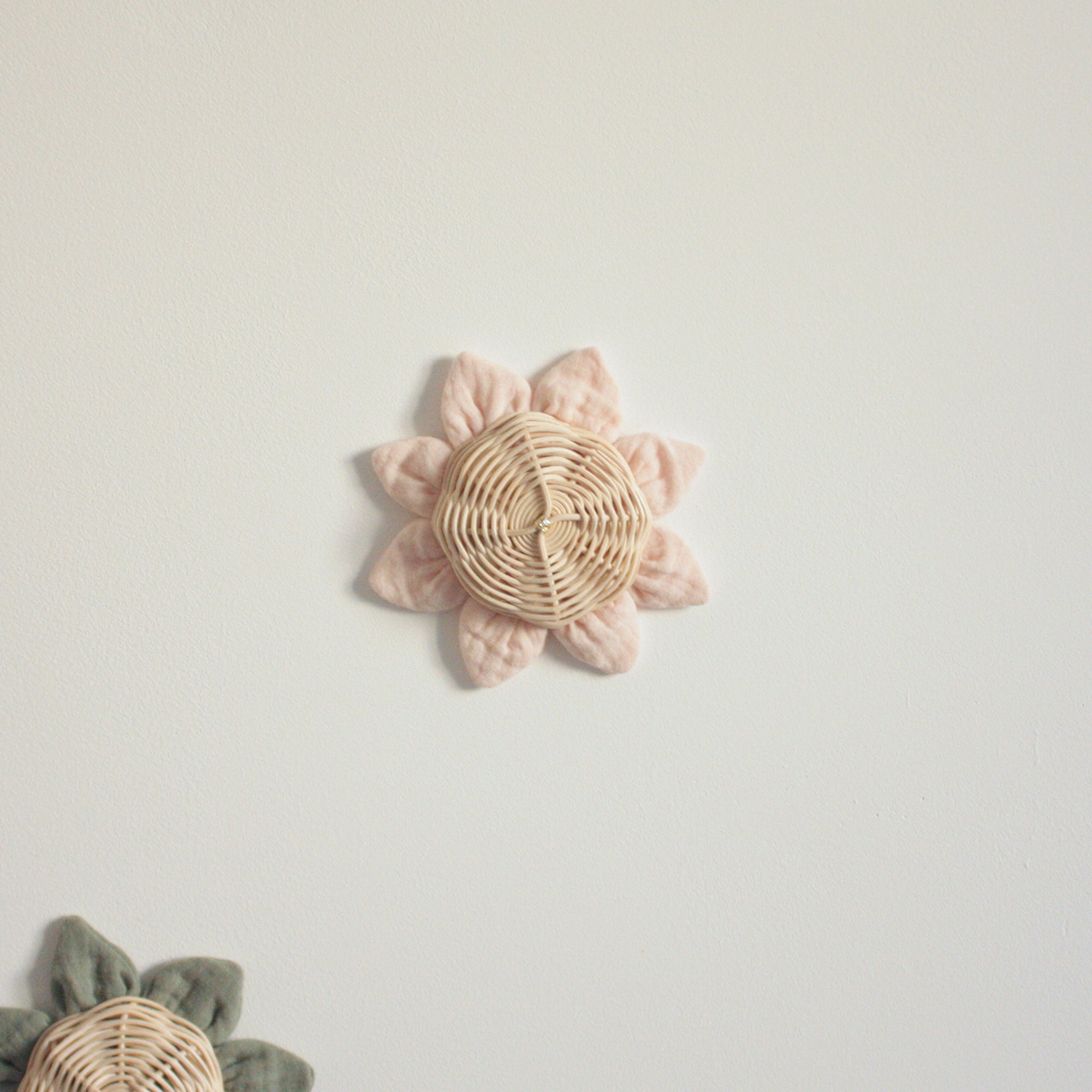 brick nasturtium flower