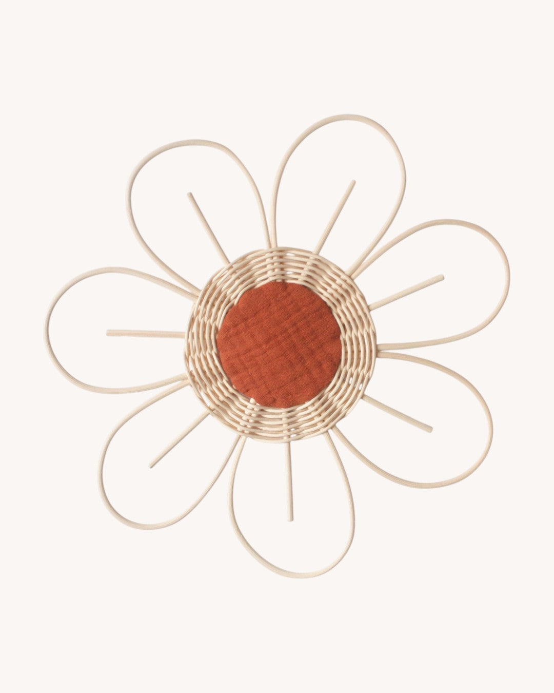 Large flower Anemone