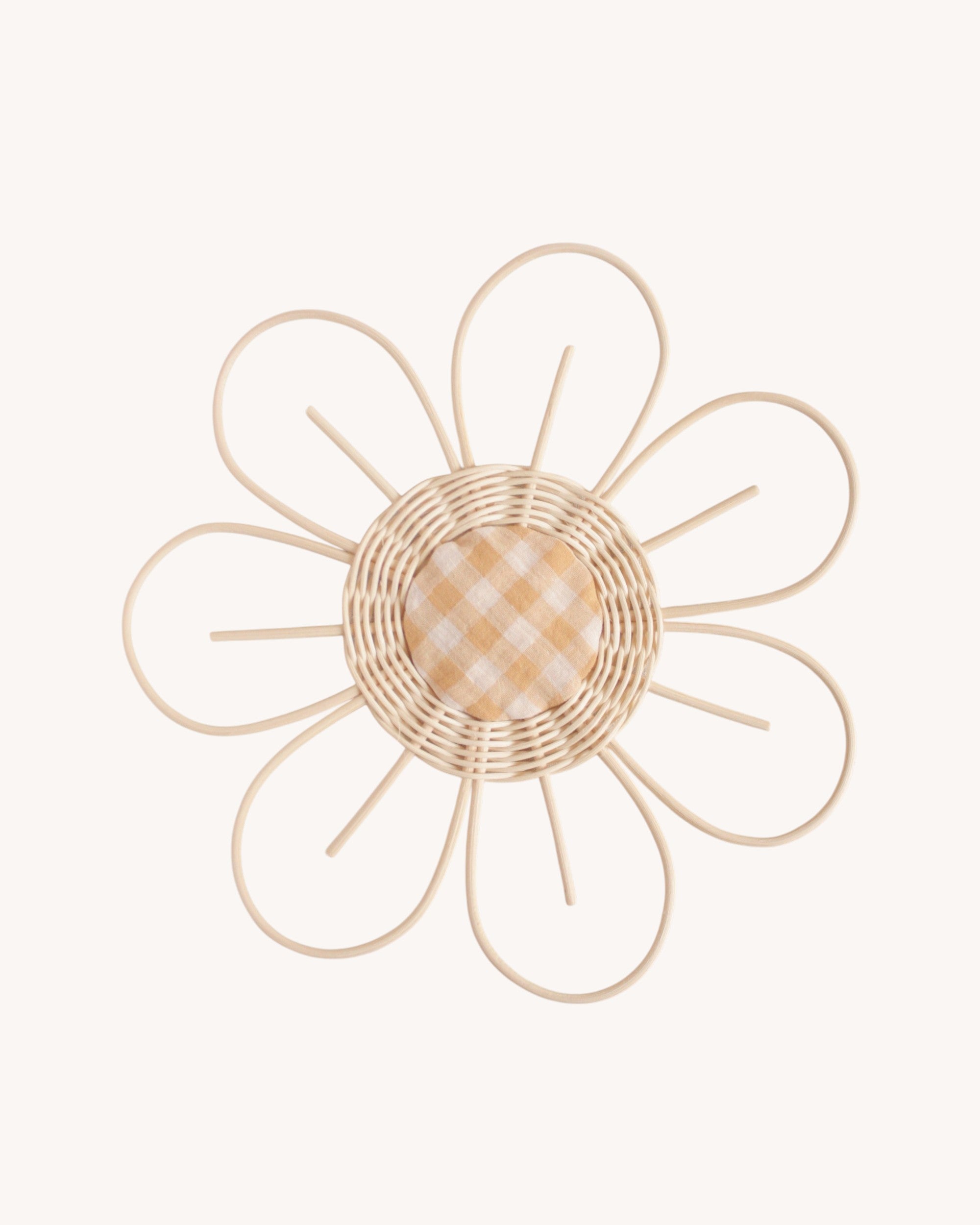 Large flower Anemone