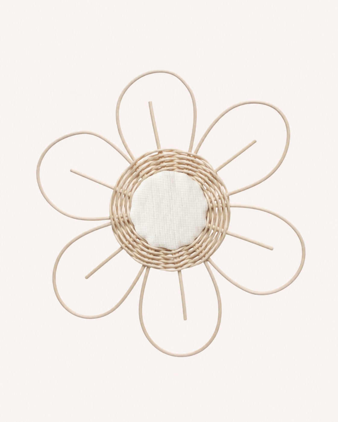 petite fleur Anémone