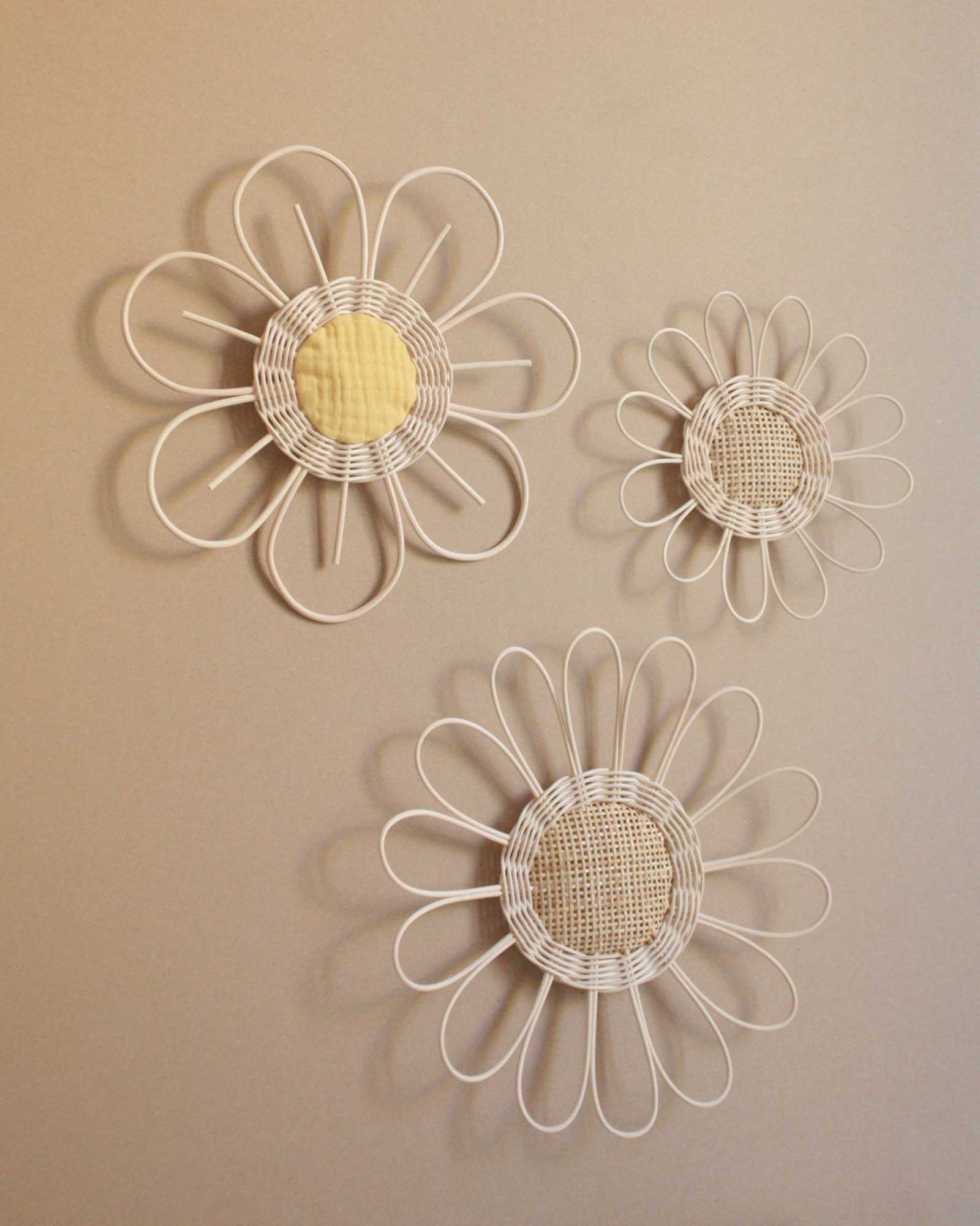 Rattan and cane daisy