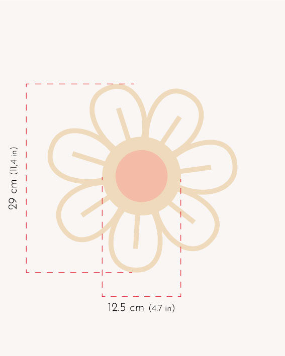 Large flower Anemone