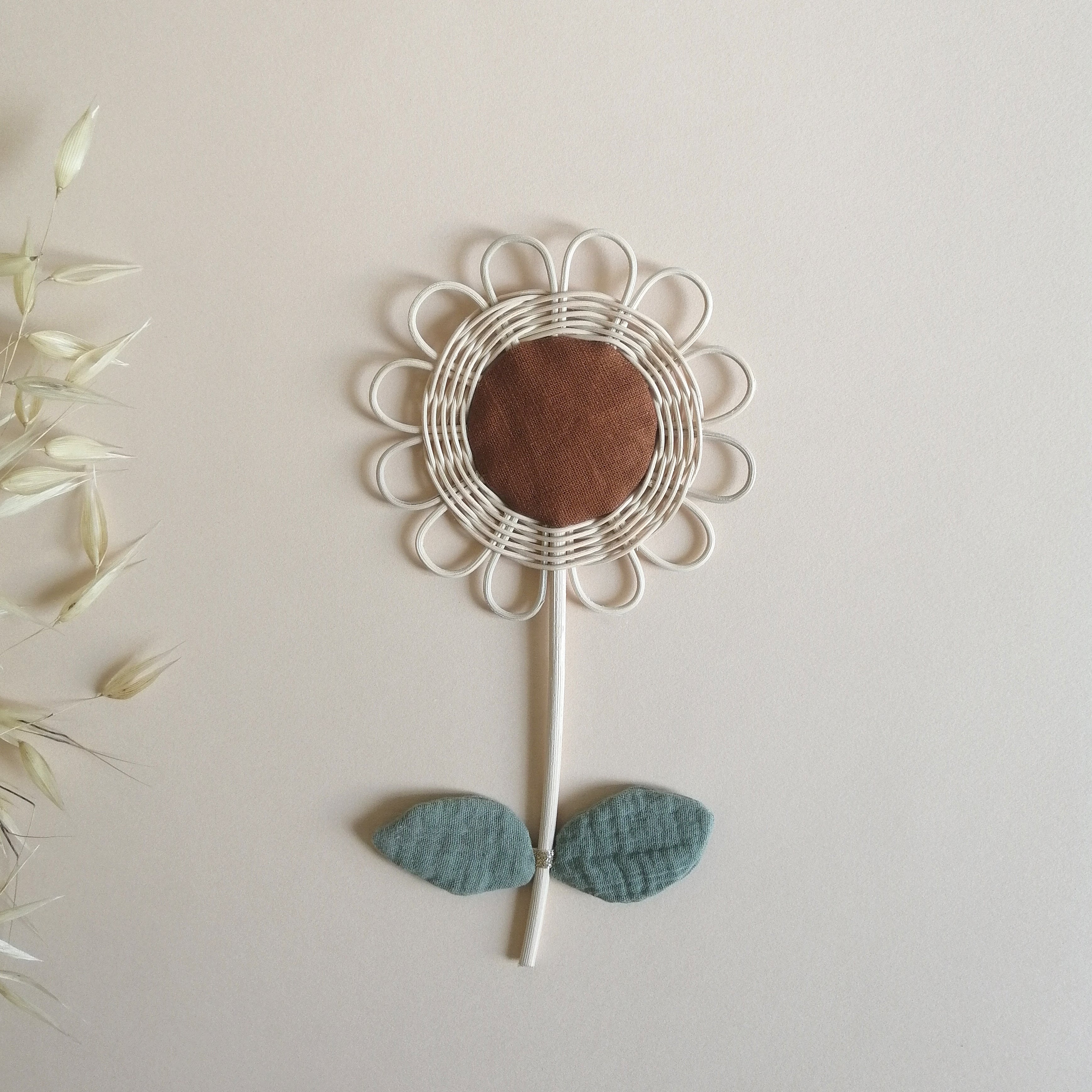 petite marguerite feuille marron